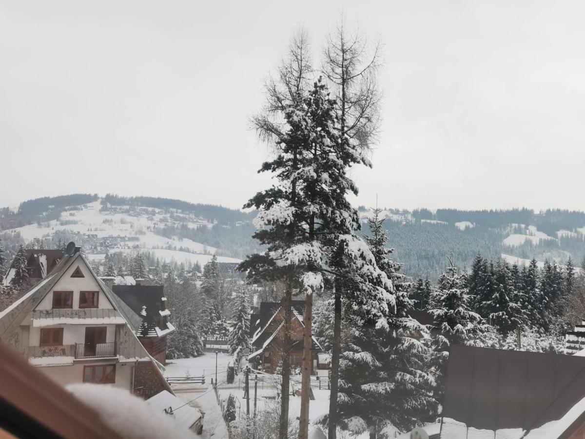 Apartment Mountain View